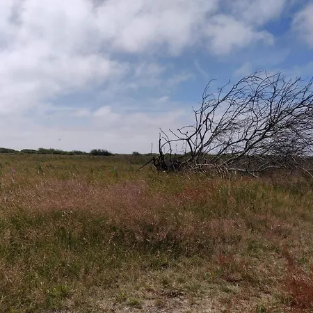 6 Person In Hvide Sande *