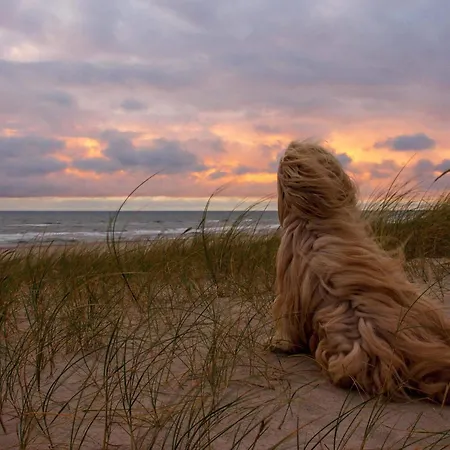 6 Person In Hvide Sande Casa vacanze