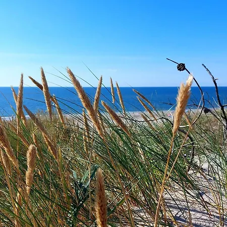6 Person In Hvide Sande * Bjerregård